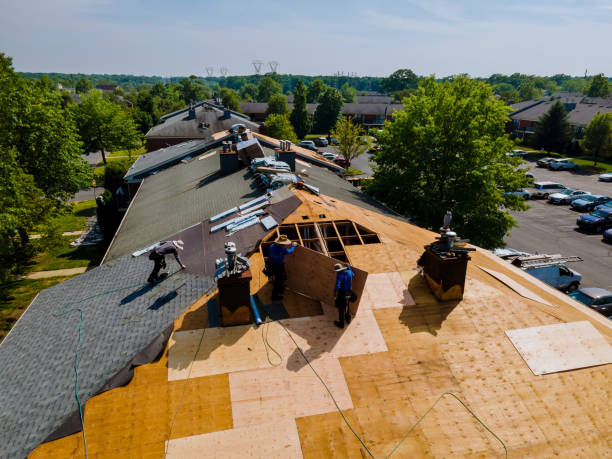 Roof Gutter Cleaning in Menomonie, WI