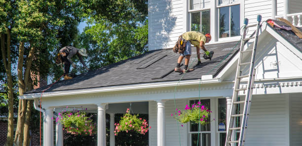 Best Roof Gutter Cleaning  in Menomonie, WI