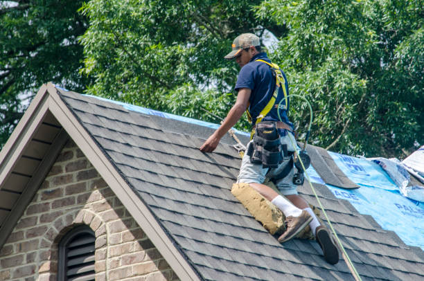 Best Roof Repair Services  in Menomonie, WI